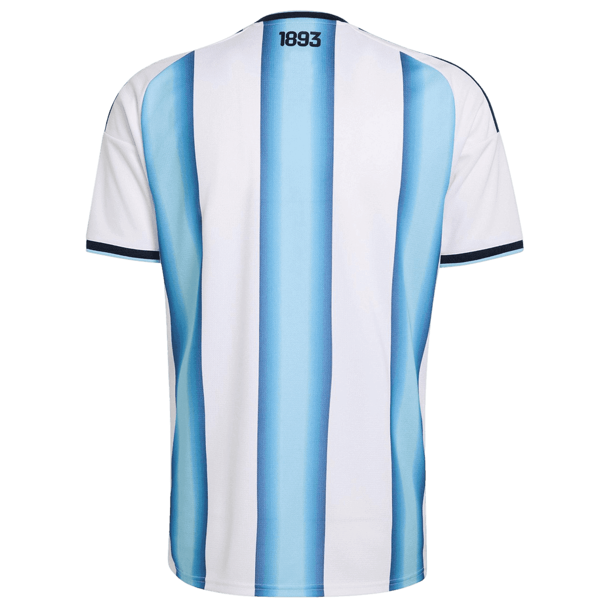 Argentine Domicile Maillot 2026 Blue&White Joueur